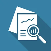 magnifying doc icon